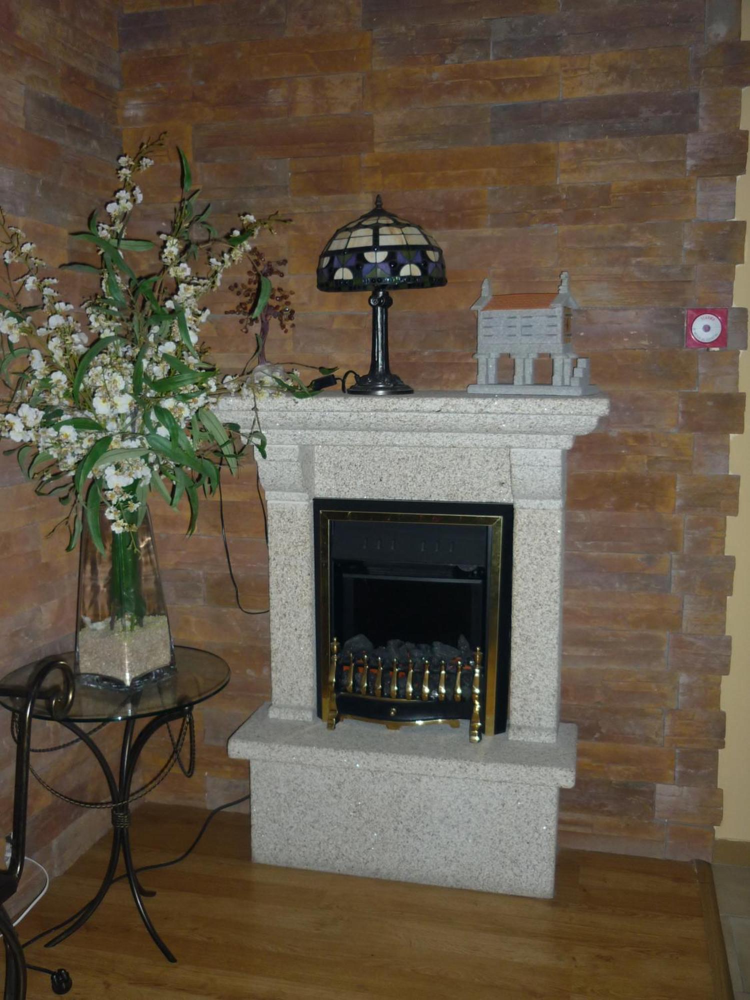 א-קורוניה Hotel Francisco Javier מראה חיצוני תמונה
