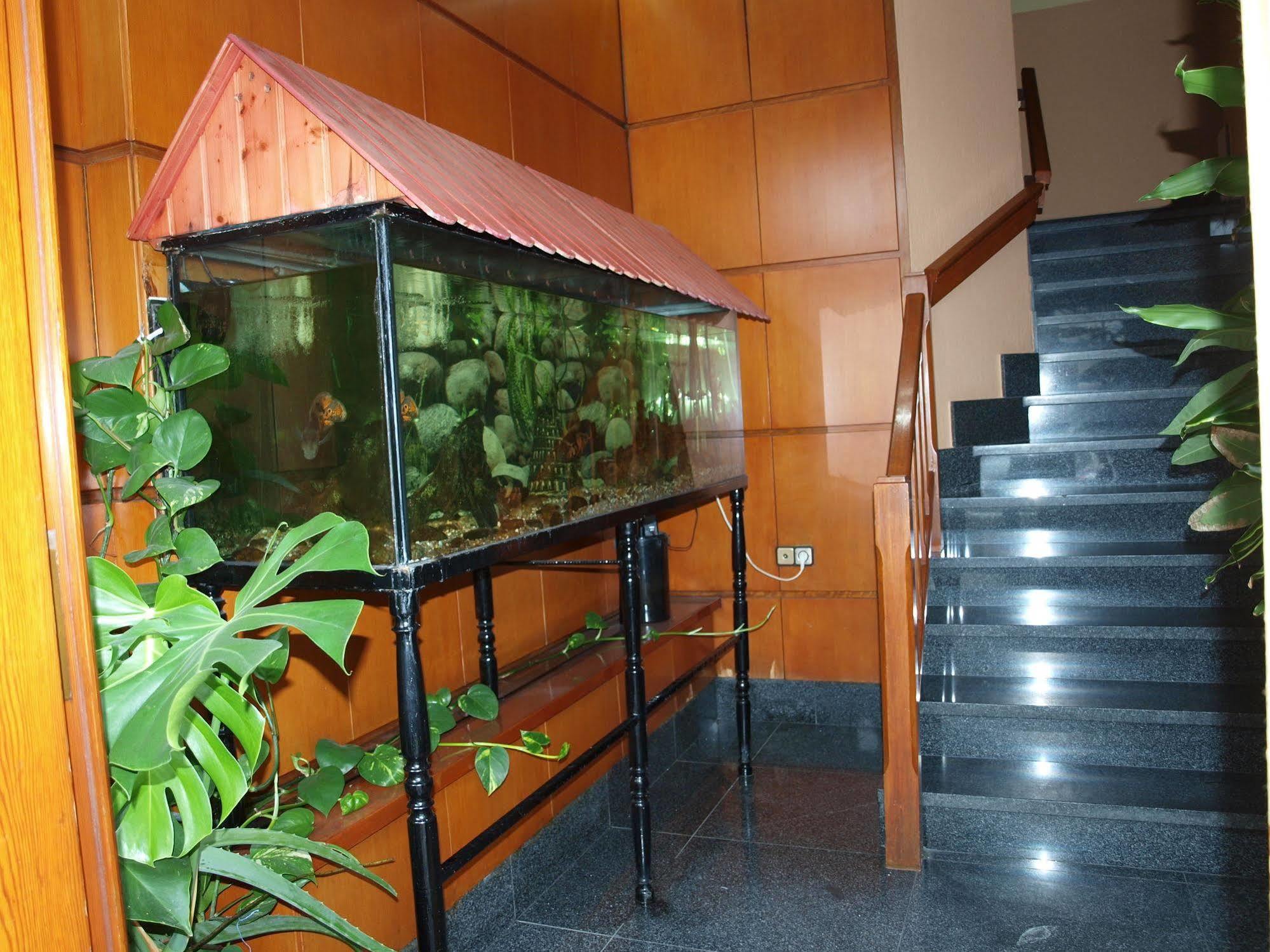 א-קורוניה Hotel Francisco Javier מראה חיצוני תמונה