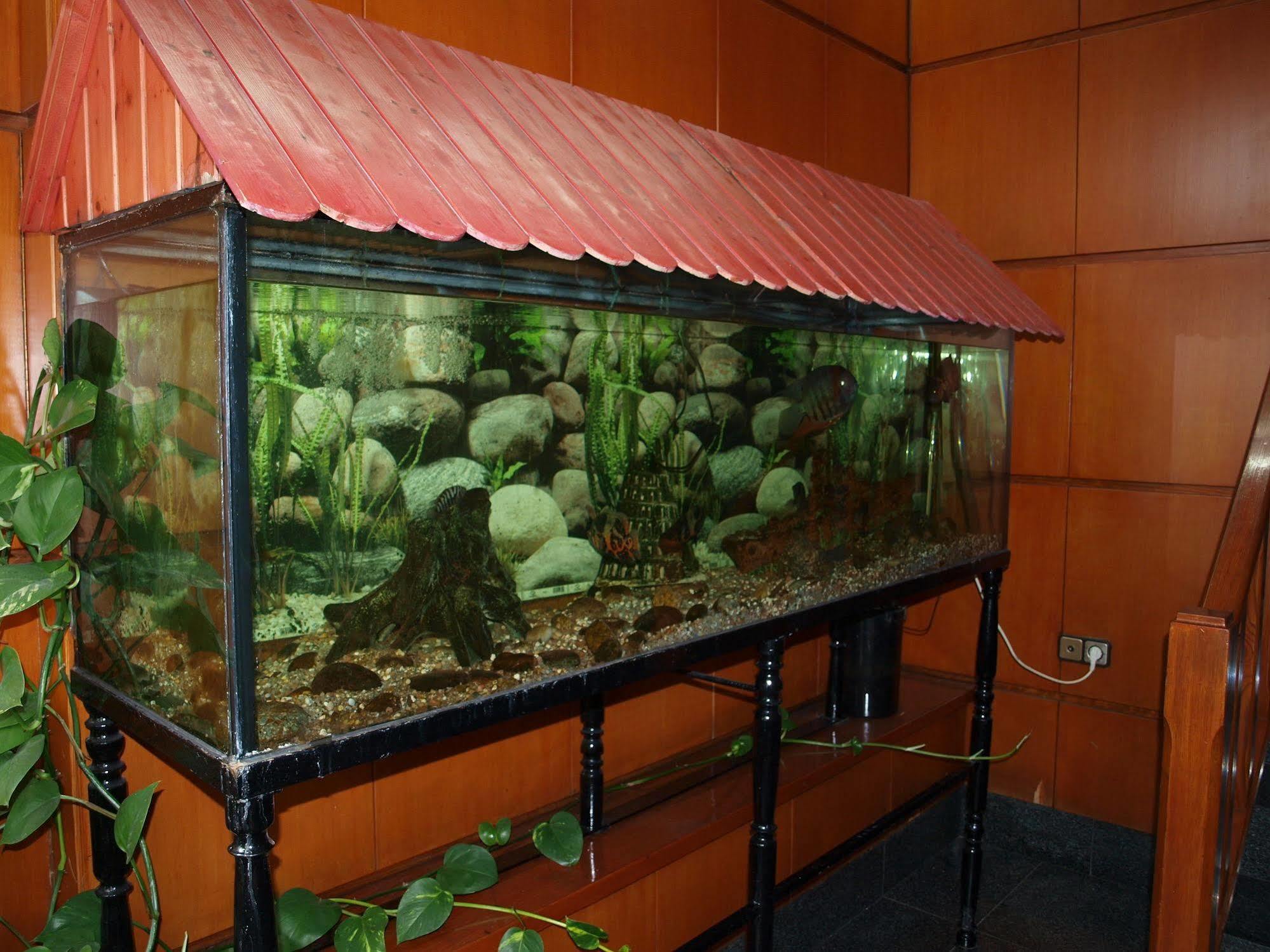 א-קורוניה Hotel Francisco Javier מראה חיצוני תמונה